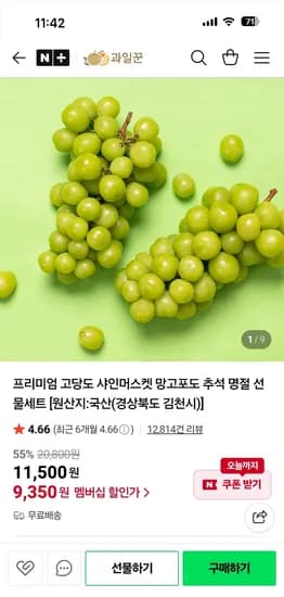 과일꾼 샤인머스켓 가정용 1kg 2수