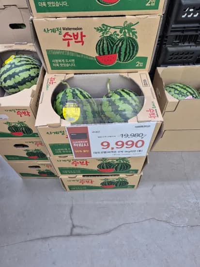 노브랜드 수박 5kg 미만 9,900원
