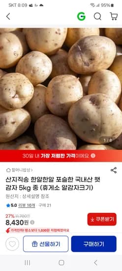 국내산 햇감자 5kg