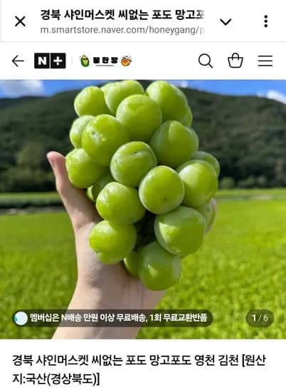 김천 샤인머스켓 2kg