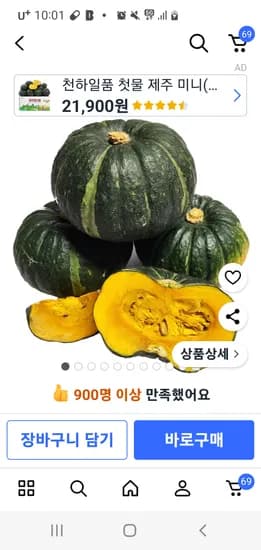제주의맛 미니밤호박 5kg 1개