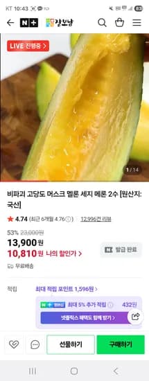 비파괴 고당도 머스크멜론 2수