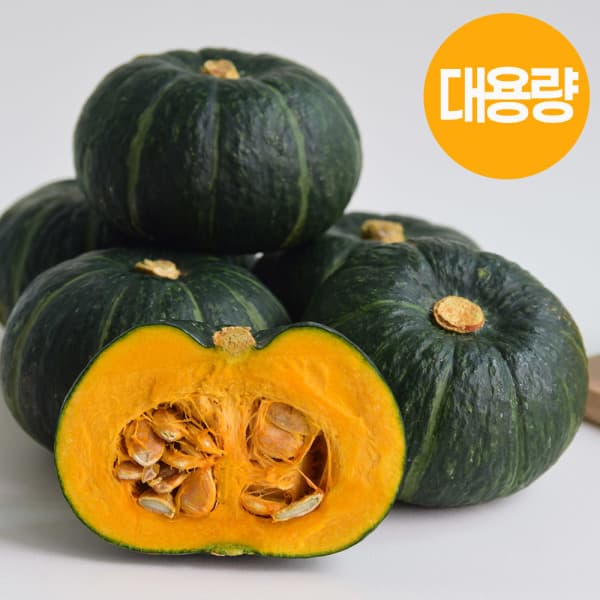 제주산 밤호박 보우짱 중대과 10kg 30-13입내외
