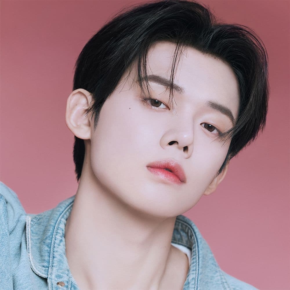 더 포어페셔널 파운데이션 스파츌라 스펀지 틴트 디럭스