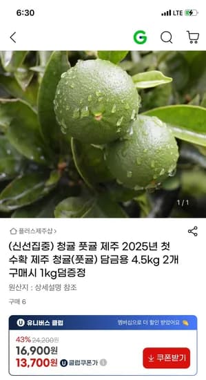 청귤 4.5kg