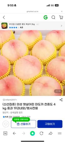 백도 4kg 중과 19과내외