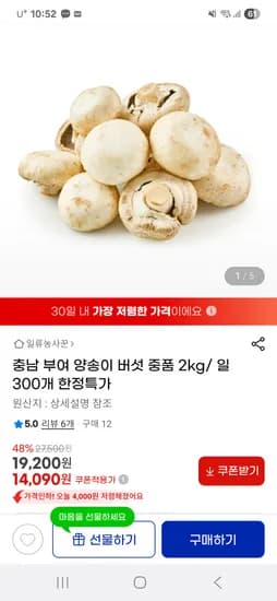 충남 부여 양송이버섯 2kg