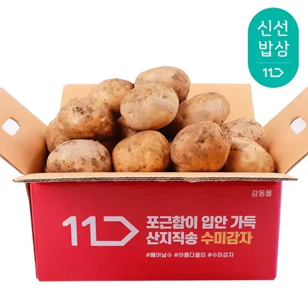 햇 감자 왕특 3kg