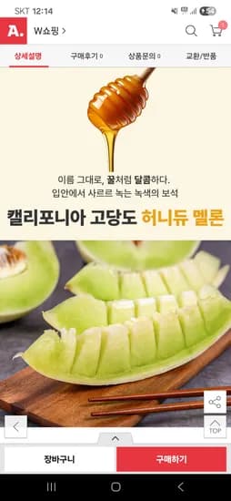 당도보장 꿀달콤 허니듀메론 3.6kg 2수 스 비씨카
