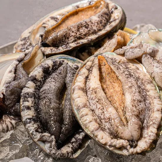 완도 활 전복 1kg (9-10미) 특대