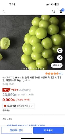샤인머스켓 1kg 2~3수