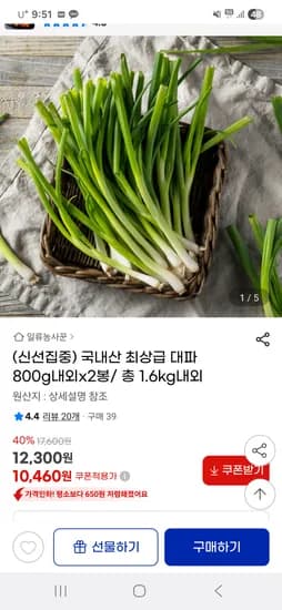 국내산 최상급 대파 800g 내외 2봉 총 1.6kg 내외