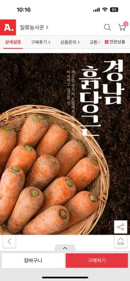 경남 햇 흙당근 중 10kg