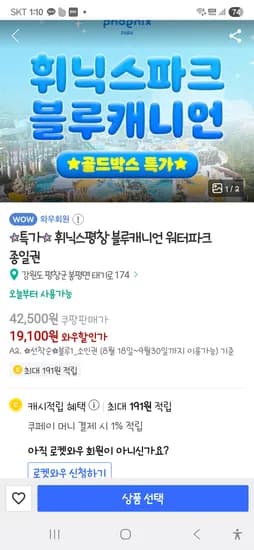 휘닉스평창 블루캐니언 워터파크 소인 19,100원 대인 22,500원