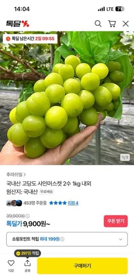 샤인머스켓 가정용 1kg 2수