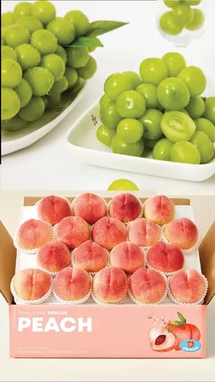 네쇼라라방예고 수플린 가정용 샤인머스켓 2kg 4수