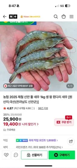 팀커머스 농협 25년 신안 활 새우 1kg