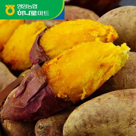 네이버) 팀커머스 25년 농협 햇고구마 2+2kg 8,910원 무배