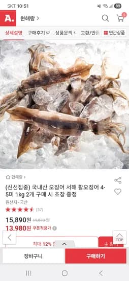 옥션) 국내산 서해 활오징어 4~5미 1kg 13,980원 무배