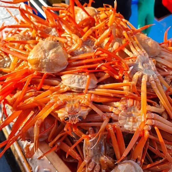 구룡포 자숙홍게 3kg (9-12마리)