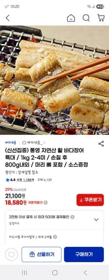 통영 자연산 활 바다장어 특대 1kg 2-4미 손질후 800g내외
