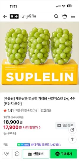 수플린 탱글한 가정용 샤인머스캣 2kg 4수