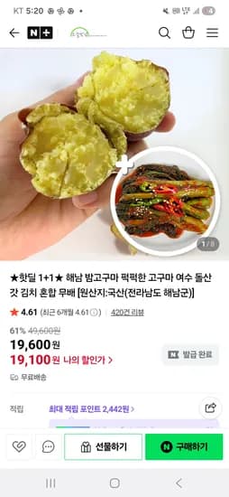 해남 밤고구마 중상 3kg 여수돌갓김치 1kg