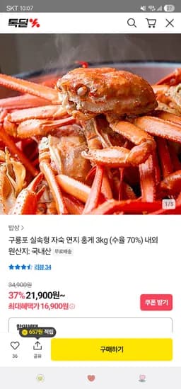 카카오 구룡포 실속형 자숙 연지 홍게 3kg