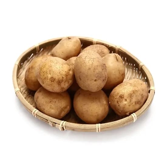 국내산 햇 감자 햇 양파 햇 당근