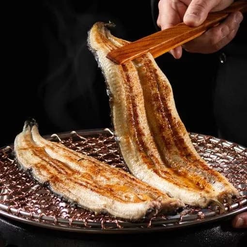 국내산 자포니카 민물장어 손질 후 700g