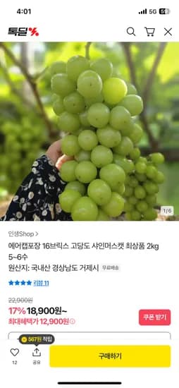 샤인머스캣 최상품 2kg 5~6수
