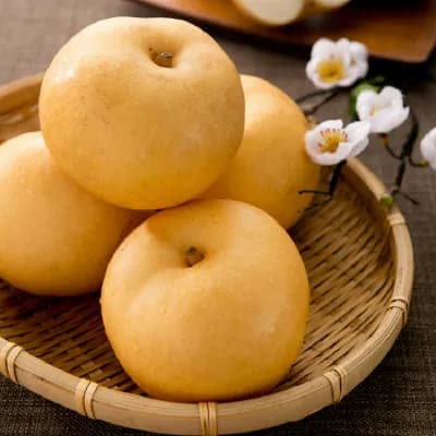 제철 고당도 배 특상 3kg