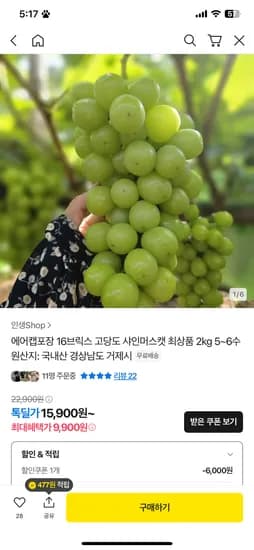 샤인머스캣 2kg 5~6수