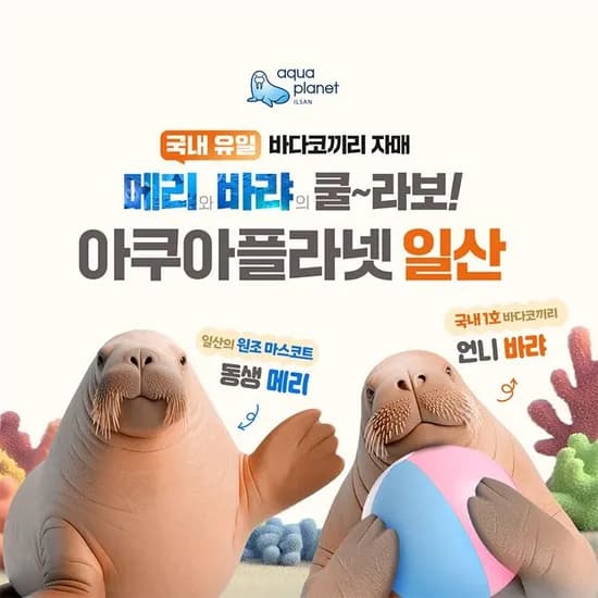 아쿠아플라넷 일산 평일 애프터4 입장권 1매