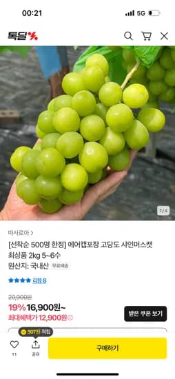 고당도 국내산 샤인머스켓 2kg 5~6수