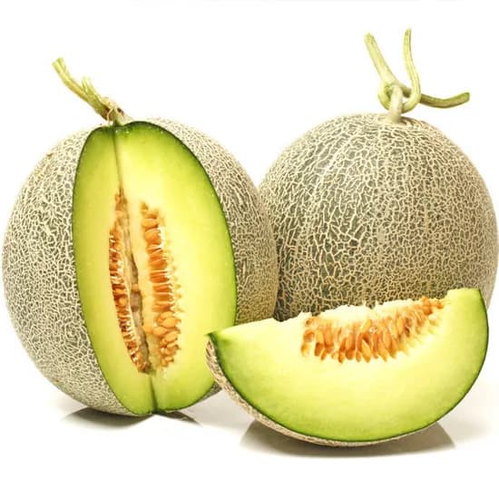 국내산 머스크메론 2수 (개당 1.5kg~2kg 내외)