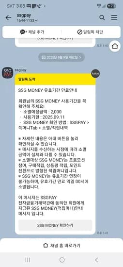SSGPAY 머니 2,000점