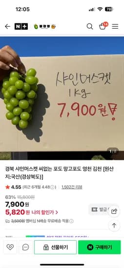 꿀한당 샤인머스켓 1kg 2수