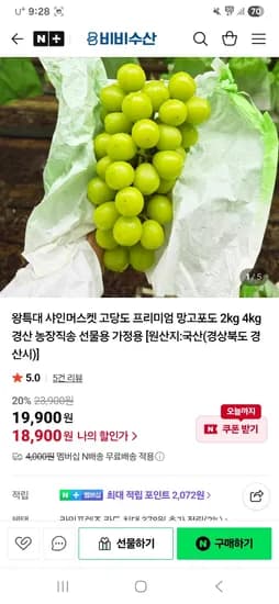 비비수산 샤인머스켓 특상품 2kg 2~3수