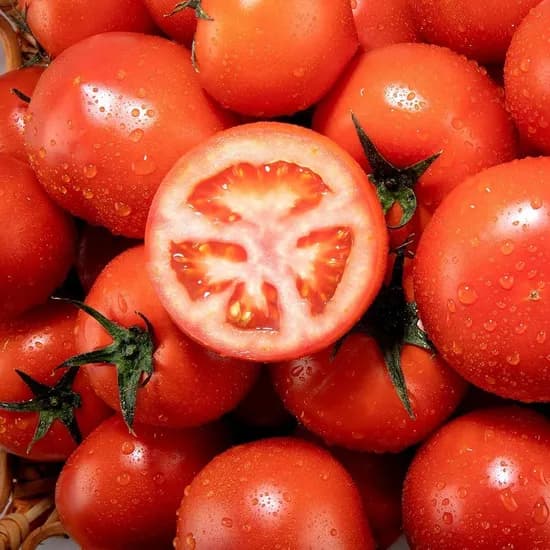 국내산 완숙토마토 중대과 2kg 12개