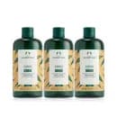 더바디샵 진저샴푸 400ml 3개