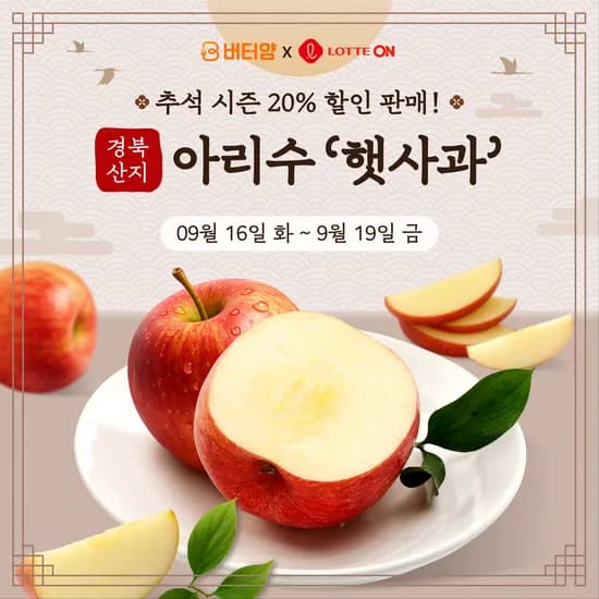 경북 햇사과 아리수 2.5kg 13과 중소과