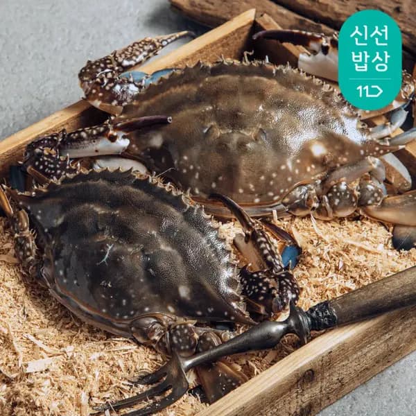 태안 자연산 통통 활 꽃게 3kg 9-15미