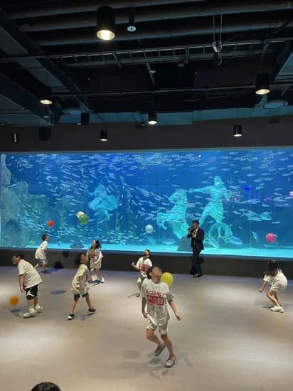 대전 아쿠아리움 사이언스 나이트 1박2일 캠프 171,000원 외