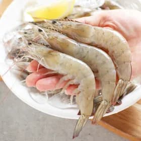 국내산 생물 새우 1kg (35미 내외)