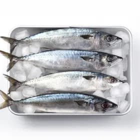 국내산 자반 고등어 10미 총 2.3kg