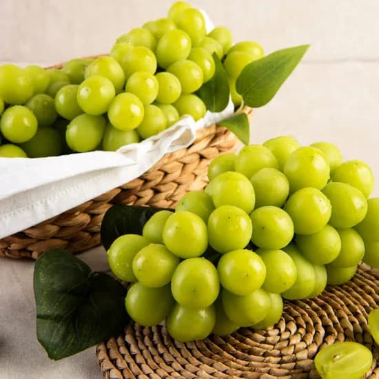 향수옥천 샤인머스캣 2kg