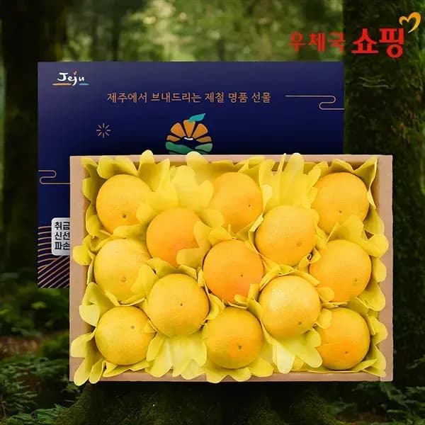 천하일품 하우스 감귤 황금향 선물세트 2kg