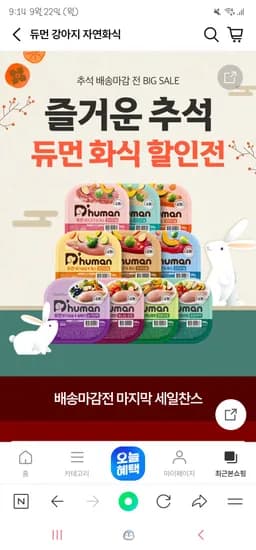 듀먼 강아지 화식 50g 10종 80+1팩 67,598원