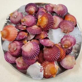 [상품명] [추가 구성품] [브랜드] [모델명] [이벤트명 기간] [색상 사이즈 등 옵션] [총 20m 총 5kg 12개 등 수량 정보] [가격]